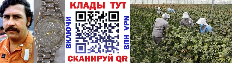 Где купить наркоту Радужный Кокаин  Каннабис 
